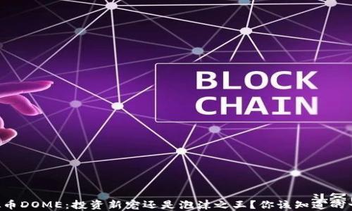 
虚拟币DOME：投资新宠还是泡沫之王？你该知道的一切！