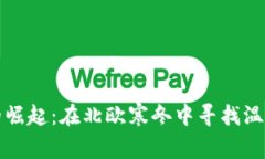 冰岛虚拟币的崛起：在北