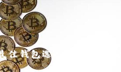 安全存储比特币的最佳钱包选择：揭开数字货币保护的神秘面纱