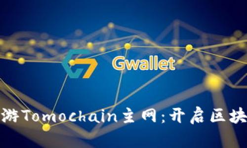 小狐钱包助你畅游Tomochain主网：开启区块链新世界的钥匙