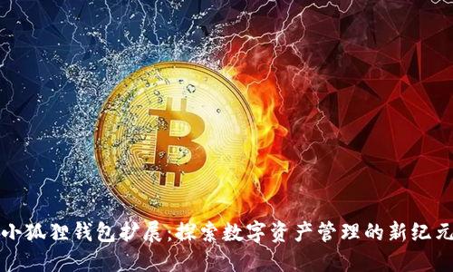 小狐狸钱包扩展：探索数字资产管理的新纪元