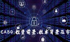 探索虚拟币CABO：投资前景
