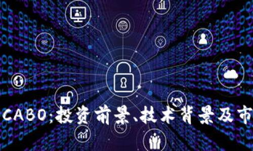探索虚拟币CABO：投资前景、技术背景及市场影响分析