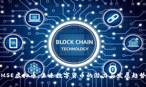 MSE虚拟币：未来数字货币的潜力与发展趋势