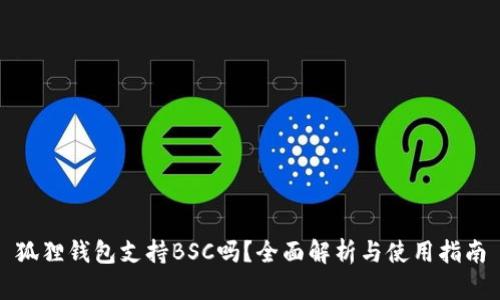 狐狸钱包支持BSC吗？全面解析与使用指南