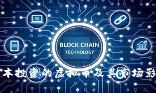 红杉资本投资的虚拟币及其市场影响分析