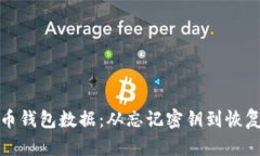 如何恢复狗狗币钱包数据