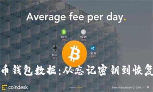 如何恢复狗狗币钱包数据：从忘记密钥到恢复钱包的全流程