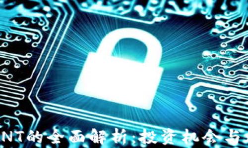 
虚拟币FNT的全面解析：投资机会与风险分析