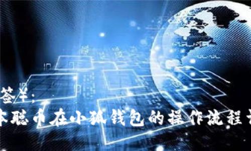 （标签）：
中本聪币在小狐钱包的操作流程详解