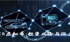 : SHIB虚拟币：投资风险与