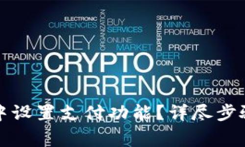 如何在小狐钱包中设置支付功能？详尽步骤与常见问题解答