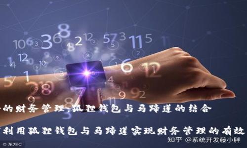 良好的财务管理：狐狸钱包与马蹄莲的结合

如何利用狐狸钱包与马蹄莲实现财务管理的有效结合