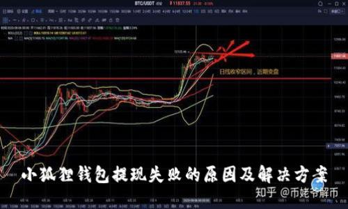 小狐狸钱包提现失败的原因及解决方案