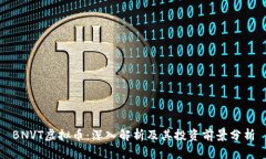 BNVT虚拟币：深入解析及其