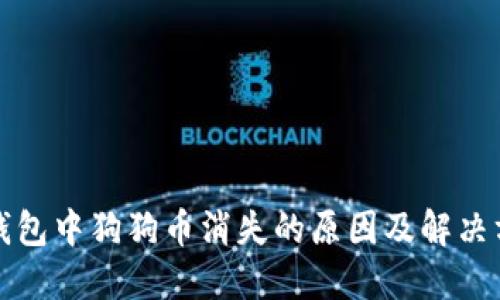 TP钱包中狗狗币消失的原因及解决方案