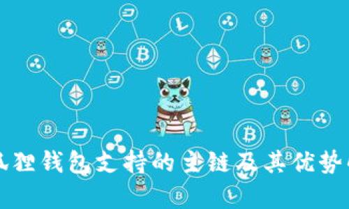 小狐狸钱包支持的主链及其优势解析