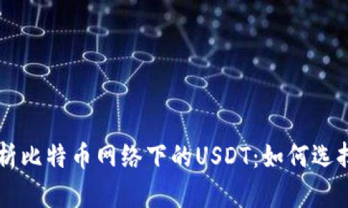 深入解析比特币网络下的USDT：如何选择与使用